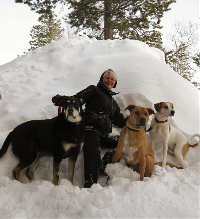 Rosco, Duke and Buller