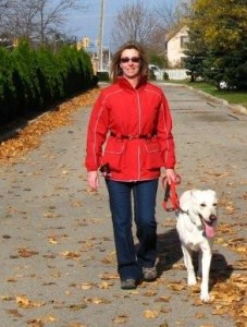 Enjoying a fall walk, being prepared! Chella & Trooper - LGD in St. Catharines, Ontario-Canada